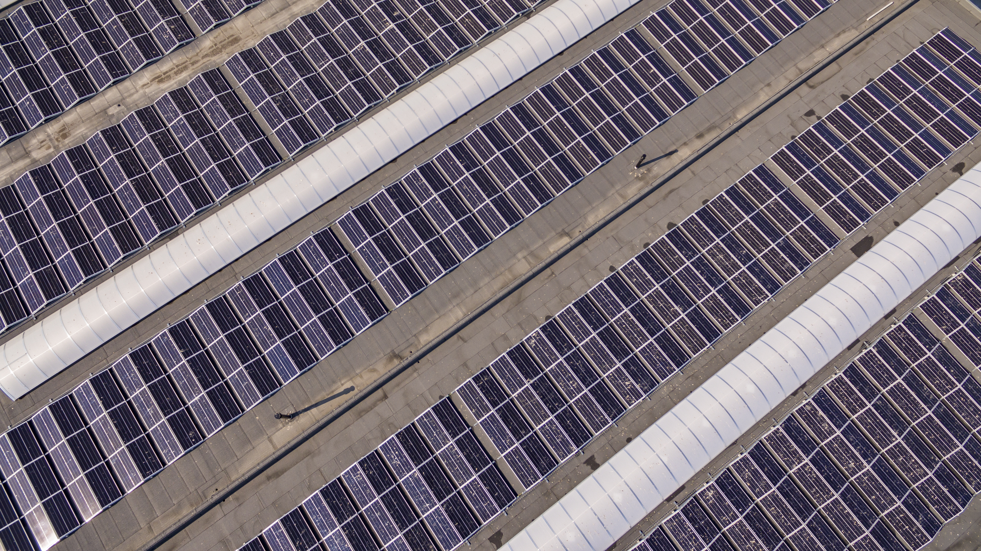De duurzame energietransitie van Dovy Keukens: lagere kosten, maximale efficiëntie